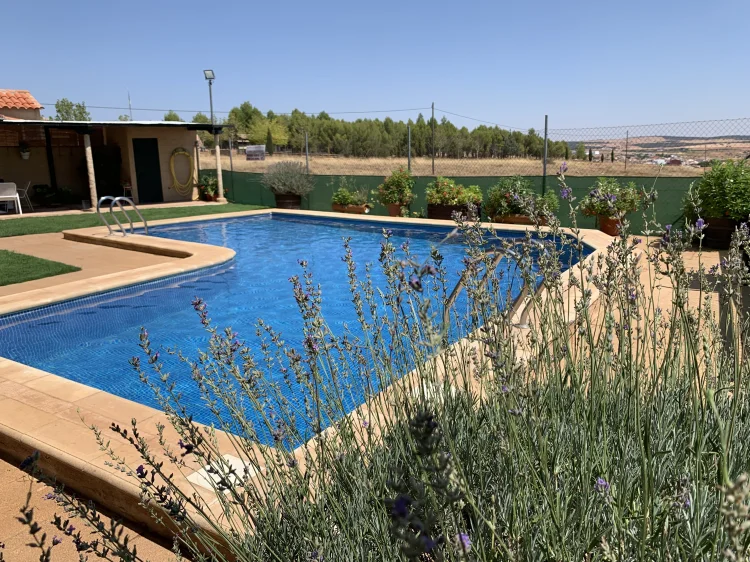 Piscina de Cabañas El Acuífero rodeada de lavanda y césped