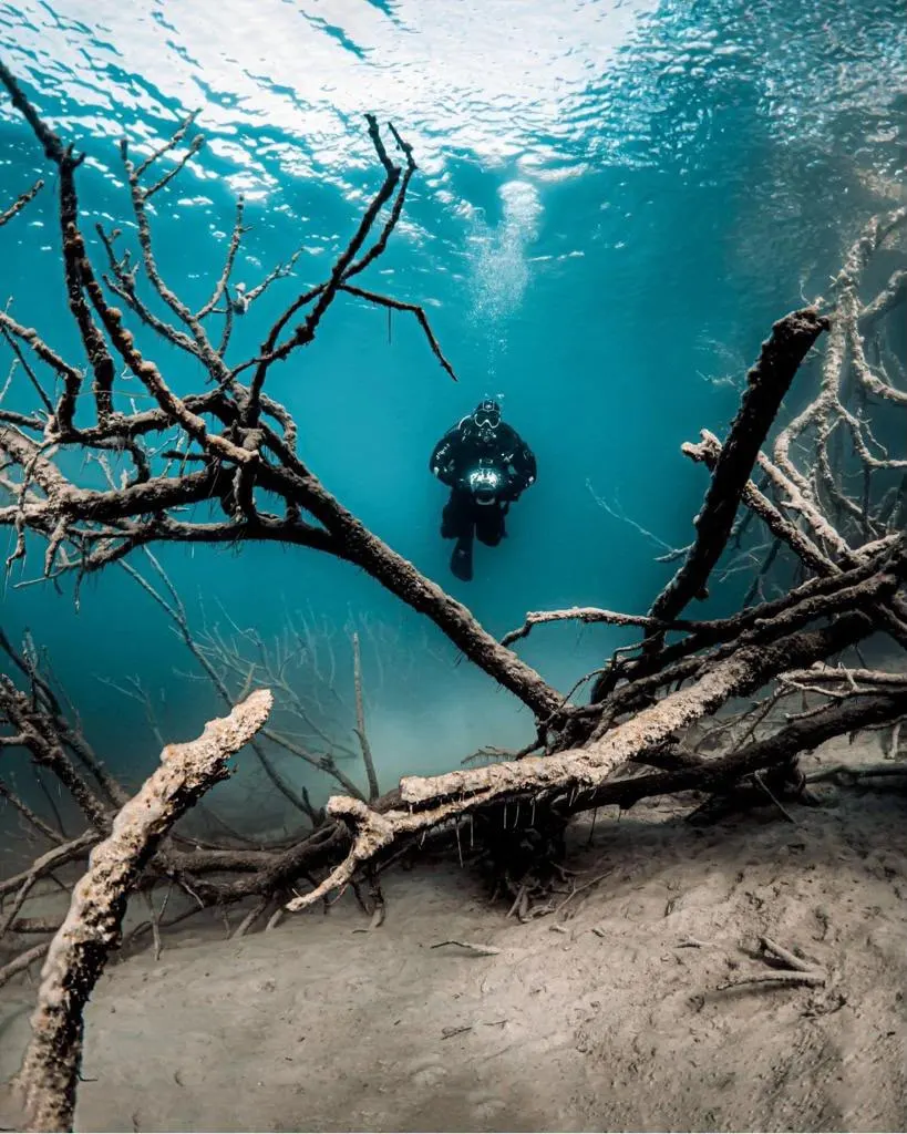 Buceador entre troncos y ramas sumergidos en el agua turquesa de las Lagunas de Ruidera, con el fondo de arena claro
