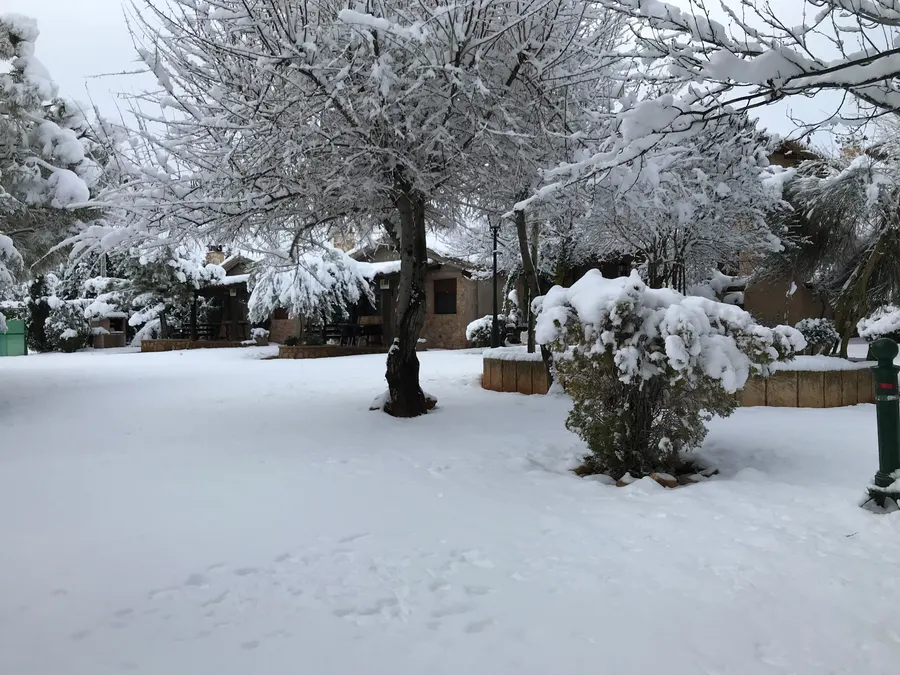 El jardín y las cabañas de El Acuífero cubiertos de nieve, con los árboles cargados de blanco