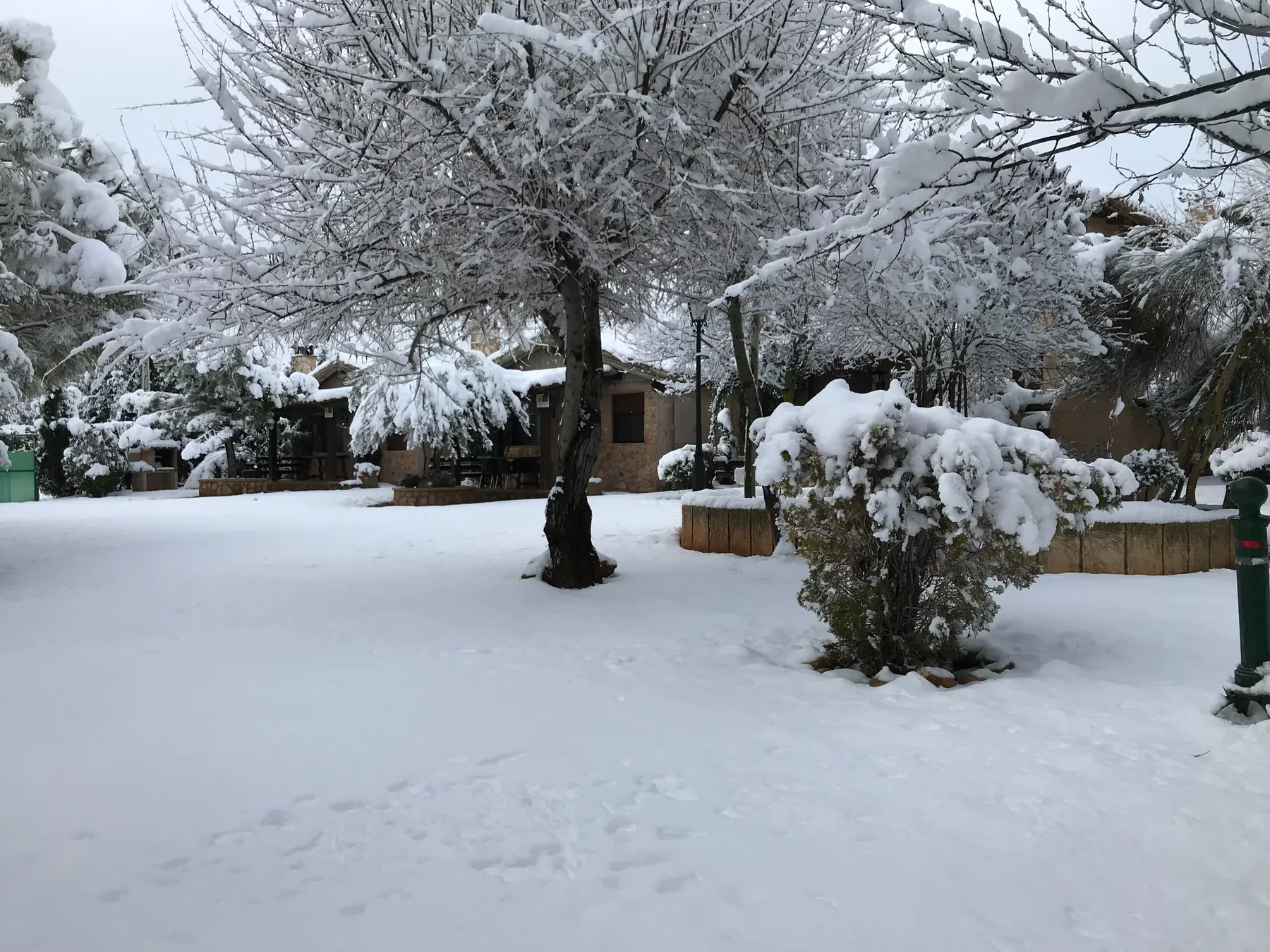 El jardín y las cabañas de El Acuífero cubiertos de nieve, con los árboles cargados de blanco