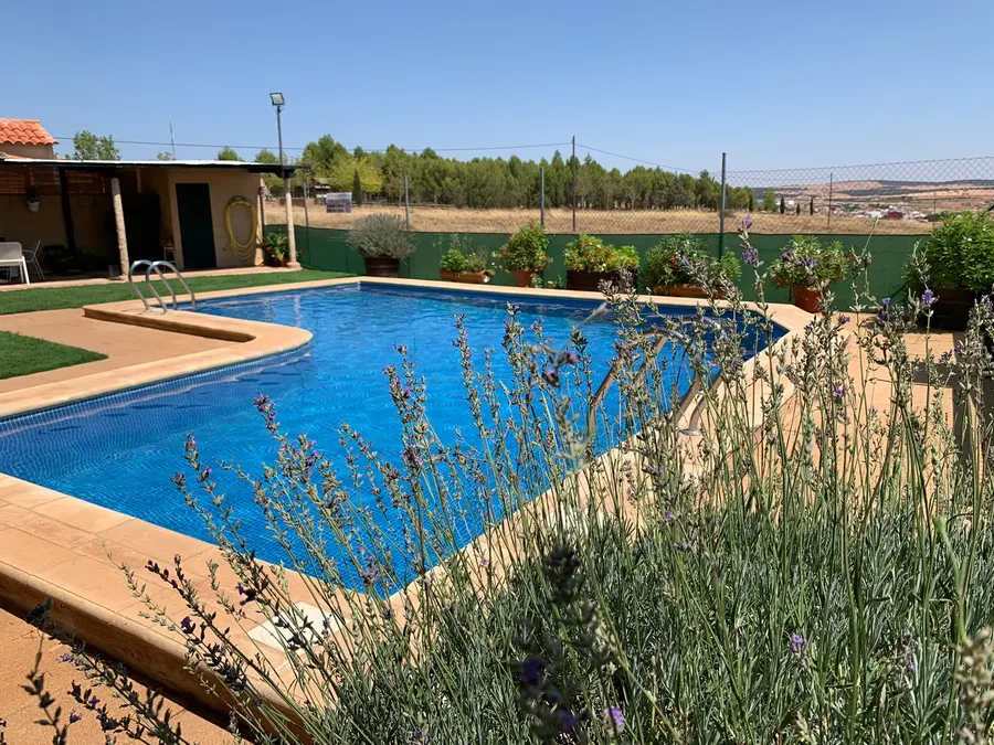 Piscina de El Acuífero vista desde el jardín, con lavanda en flor en primer plano, zona de césped y el pinar al fondo