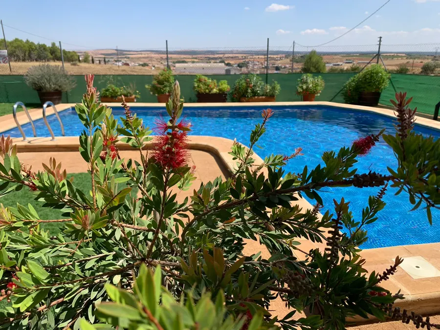 Piscina exterior de Cabañas El Acuífero con macetas alrededor y el llano manchego abierto al fondo